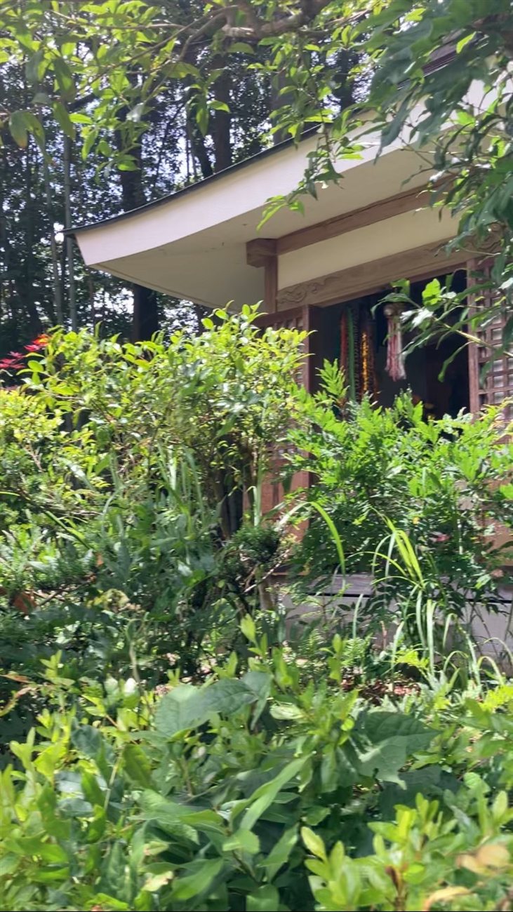A small temple hall wrapped in greenery
